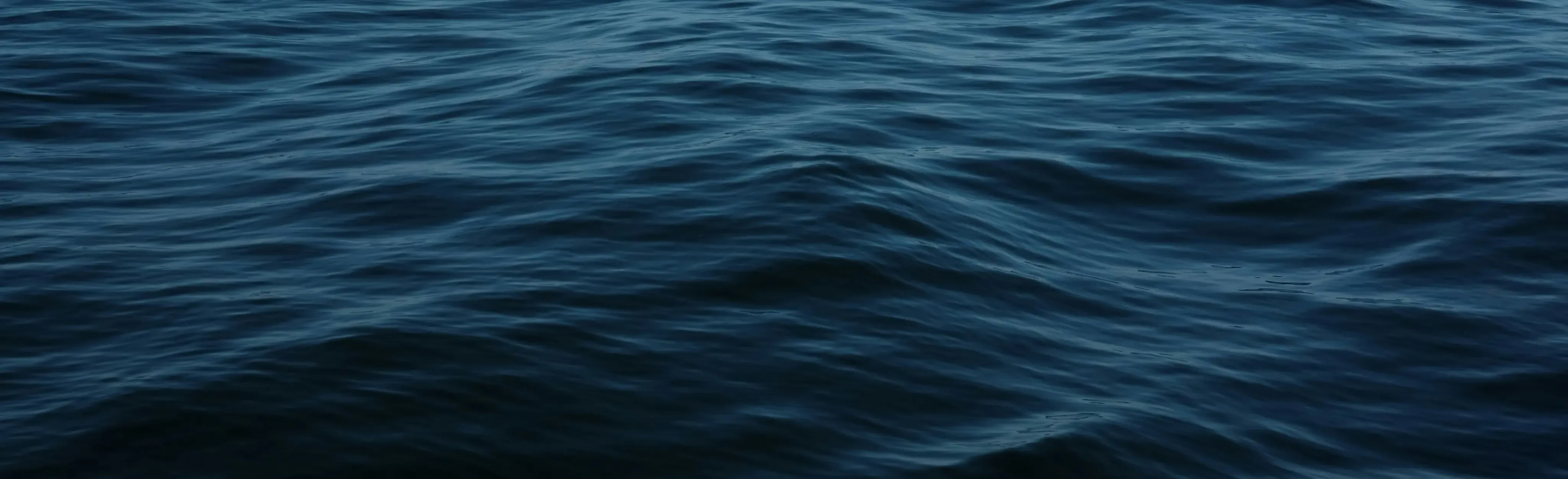 sea